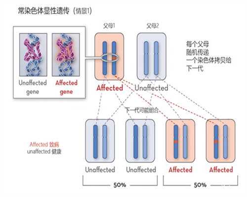 影响试管婴儿成功率的因素与提升方法
