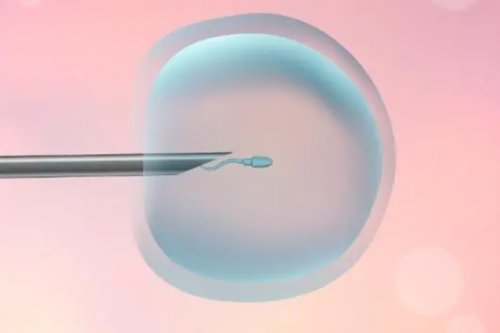 科罗拉多生殖医学中心医生，CCRM医院创始人实力强劲 试管助孕保密咨询