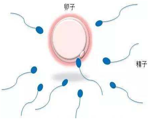 39岁输卵管堵塞做试管婴儿要多少钱？哈尔滨供卵三代试管费用流程详解