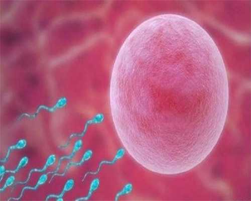 子宫性不孕试管：染色体异常夫妇的生育希望与流程解析
