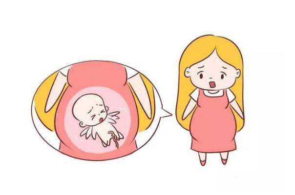 孕妇胎梦解析：海豚与笔的寓意与生育暗示