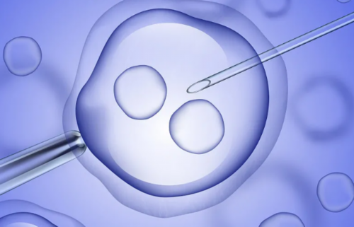 出血与乳房胀痛是否预示鲜胚移植着床成功？这些征兆需了解